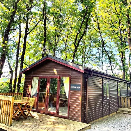 Woodland View -Hot Tub-Tenby-Carmarthen-St Clears Exterior photo