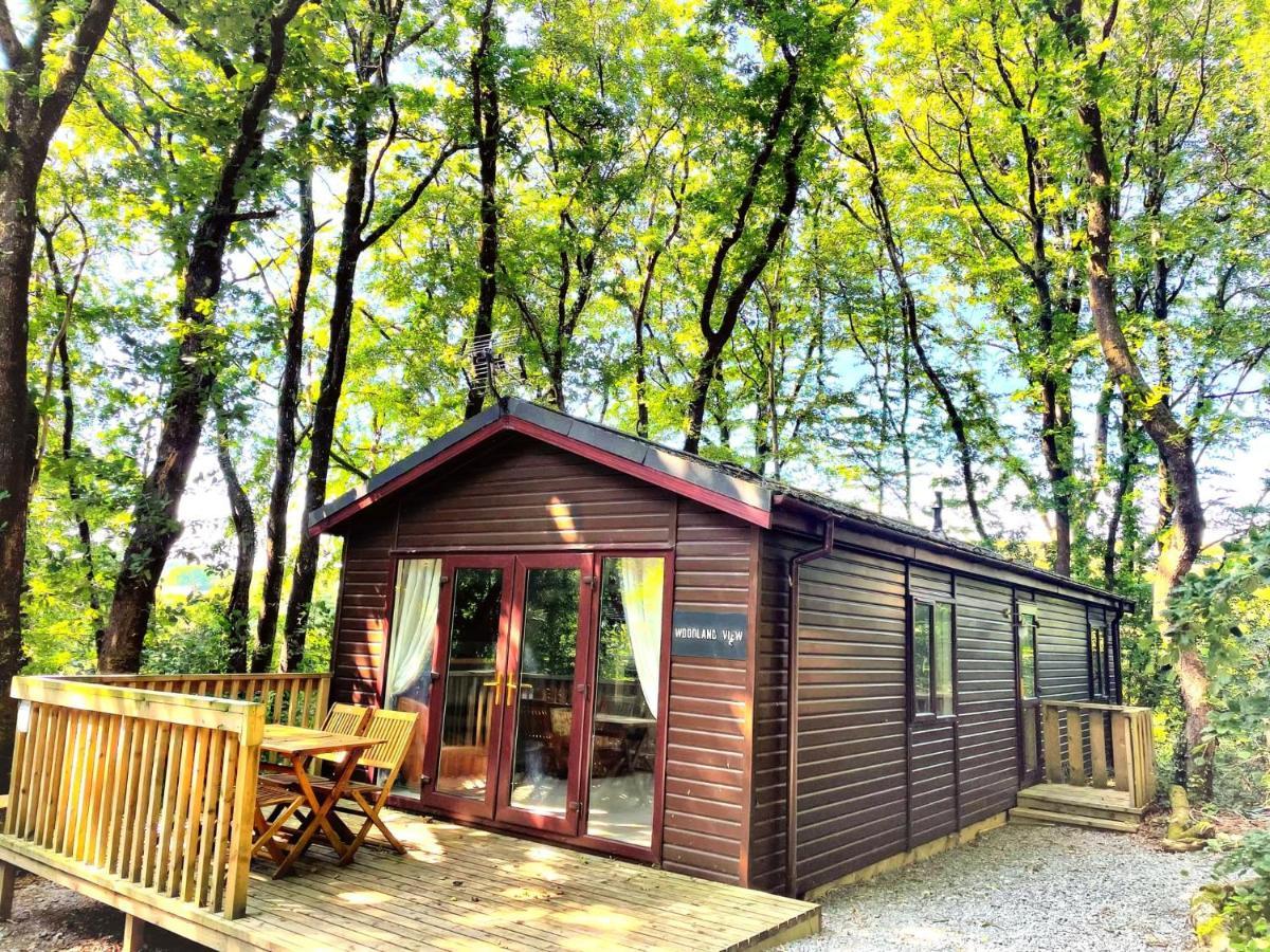 Woodland View -Hot Tub-Tenby-Carmarthen-St Clears Exterior photo